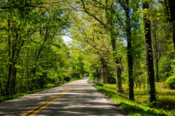 Naklejka premium Countryside rural paved road in Lyndhurst, Virginia summer season with lush trees forest and woods