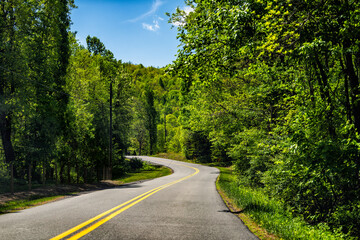 Rural asphalt winding road in Lyndhurst, Virginia summer countryside season with lush trees forest woods