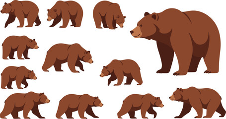 Cartoon Brown Bear Poses Collection with Walking Standing and Sitting Wild Animal Flat Vector Illustration Set
