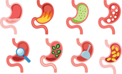 Human stomach icons, digestive health, medical conditions, treatment symbols, stomach pain, acid reflux, herbal remedy, diagnosis vector, healthcare illustration, anatomy design