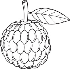 Fototapeta premium Silhouette of a Custard Apple in Natural Pose on White&nbsp;Background
