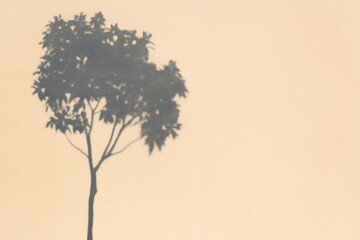 Fototapeta premium Shadow of Tree on Soft Background Creating Minimalistic Artwork