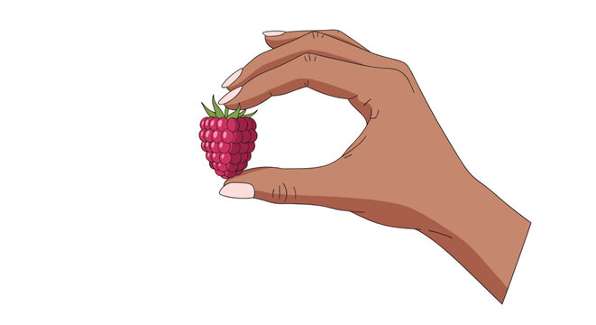 A cartoon hand with manicured nails delicately holds a single ripe raspberry, emphasizing freshness and precision on a white background.