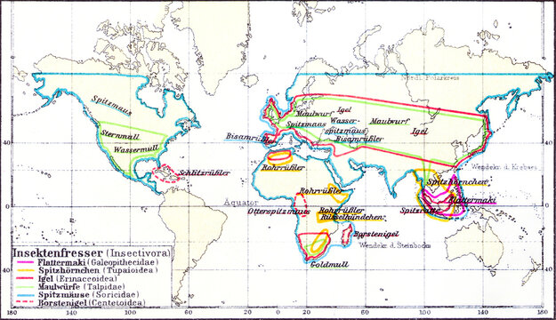 Map showing the distribution of insectivorous mammals (Insectivora) across various regions, old vintage illustration, 1897