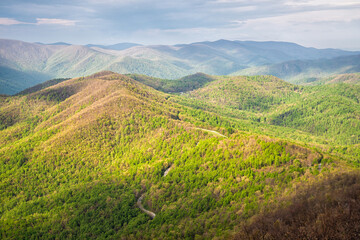 Blue Ridge mountains trees panorama and parkway road view with sunny light from Devil's Knob Overlook in springtime at Wintergreen resort