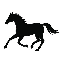 black horse isolated on white