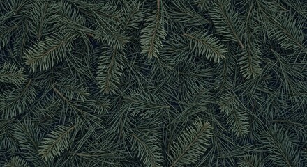 Closeup view of dark green pine needles and branches