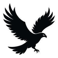 eagle vector illustration