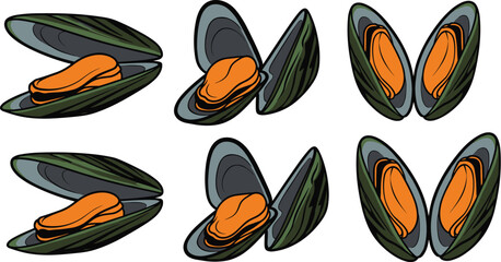 Stylized Mussel Illustrations with Open Shells for Culinary, Seafood, Marine Life, Ingredient, Educational, Artistic, Vector, Icon, UI Design © Lutfun Creatives