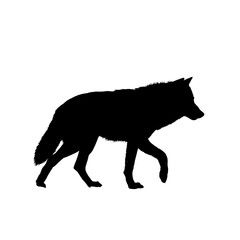 wolf silhouette - vector illustration