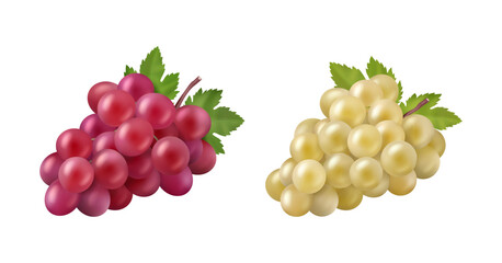 Naklejka premium Ripe organic grapes for making and producing red and white wine. Vector realistic set of berries with leaves from farm or vineyard. Winemaking farm, natural ingredients for alcohol drink