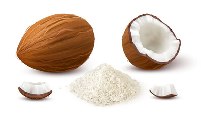 Chips and fresh coconut, isolated raw nut with shell. Vector in realistic style, tasty ingredient for cooking desserts. Healthy snack and material for cosmetic industry and skincare wellness