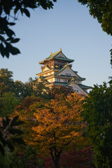 Fototapeta premium Osaka Castle, Osaka, Japan 