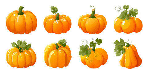 Collection of  vibrant orange pumpkins with green stems and leaves on a white background