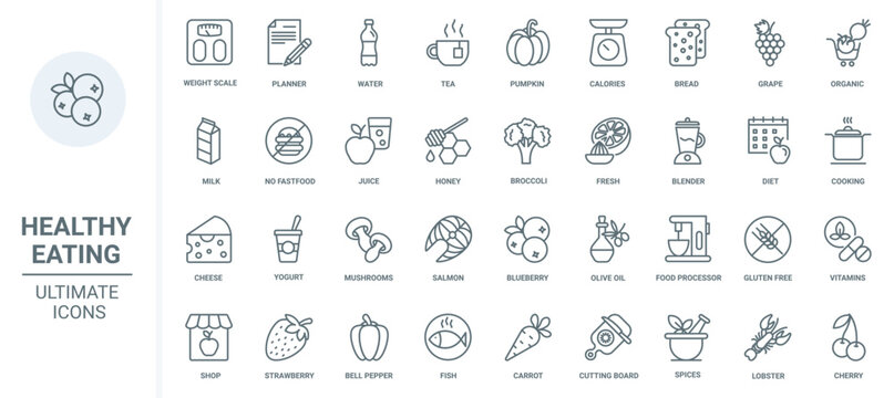 Healthy grocery food thin line icons set vector illustration. Outline fresh organic fruit and vegetables, water and tea with honey, yogurt and farm milk, fish seafood and olive oil for cooking meals