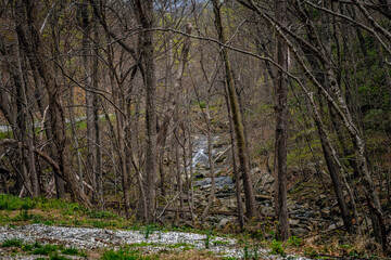 Small South Fork Rockfish River creek in Blue Ridge mountains in spring springtime green foliage on cloudy day with landscape of forest