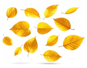 Obraz premium Golden leaves floating; white background