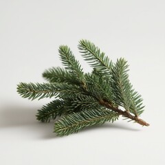 Minimal Pine Branch Isolated on Solid Background
