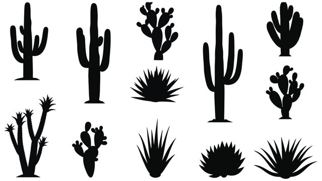 Cactus silhouette vector desert plants graphic design element