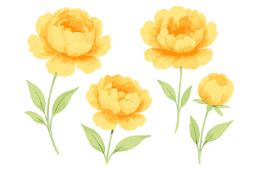 Bright yellow peonies with green leaves arranged in a simple yet elegant layout for spring or summer decor