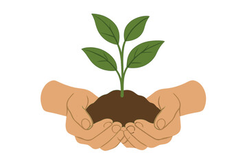 Fototapeta premium Hands nurturing a young plant in soil, symbolizing care and growth in nature's cycle