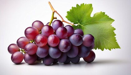 ripe bunch of grapes on a branch with a leaf no background
