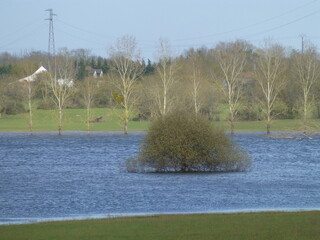 A lone tree in the middle of a flooded meadow in France - Arbre seul au milieu d'une prairie inond&eacute;e en France