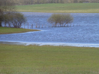 A lone tree in the middle of a flooded meadow in France - Arbre seul au milieu d'une prairie inond&eacute;e en France