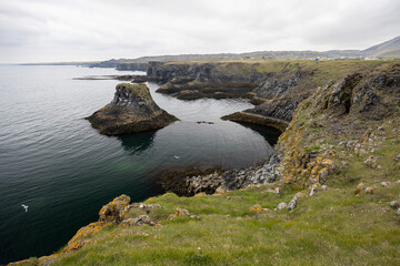 view of the coastal cliffs and volcanic rock formation at Arnarstapi, Snaefellsnes Peninsula, West Iceland