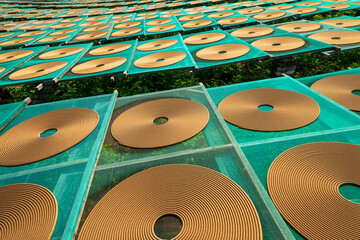 Endless Rows of Traditional Spiral Incense Coils Drying on Green Mesh Racks at Chinese Factory