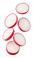 Several fresh round red and white radish slices are playfully falling through the air. Transparent...