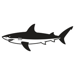 shark vector illustration