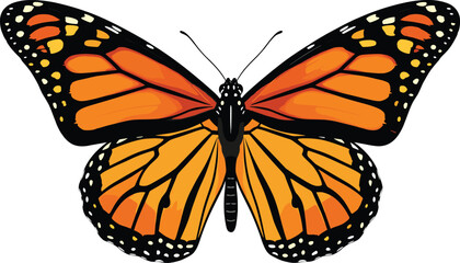 Monarch butterfly illustration, vibrant orange wings, black veins, white spots, detailed insect art, nature design, front view