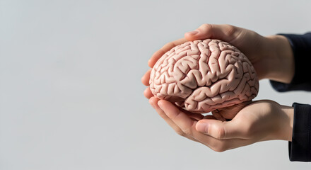 Hands holding realistic human brain model on neutral background