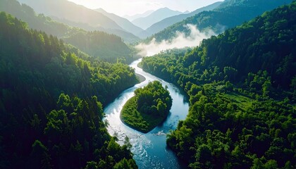 Aerial view of a river winding through a dense green forest in the mountains, with sunlight illuminating the scene. The image depicts a natural landscape with a