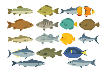 Collection of colorful fish illustrations showcasing various species and styles for educational or decorative use