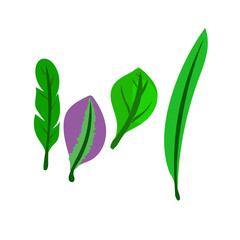 Elegant Botanical Leaves Illustration | Natural Green Foliage Design