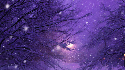 Enchanting purple winter night. Snow-covered bare trees glisten under a warm, glowing light. Falling snowflakes create a magical, serene forest atmosphere.