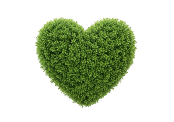 Green heart shape covered with leaves isolated on transparent background