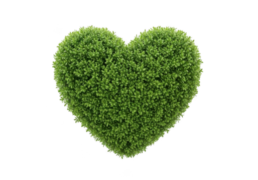 Green heart shape covered with leaves isolated on transparent background