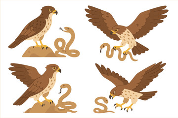 Hawks in action: hunting snakes and showcasing their skills in nature