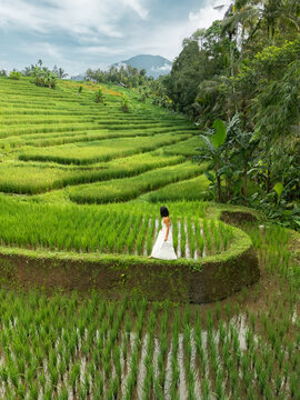 Traveler In White Dress Standing Amid Lush Subak Rice Terraces And Mountains