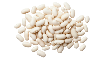 Dried white cannellini beans isolated for healthy cooking staple