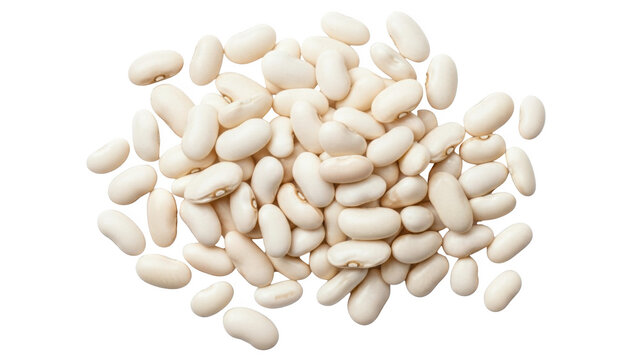 Dried white cannellini beans isolated for healthy cooking staple