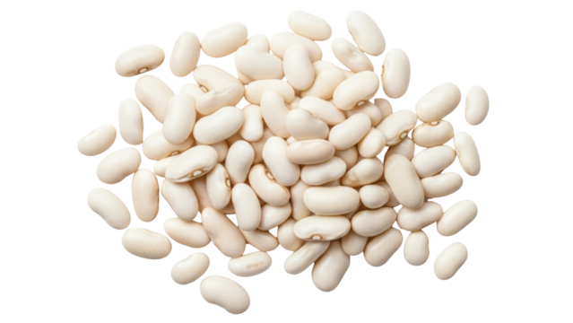 Dried white cannellini beans isolated for healthy cooking staple