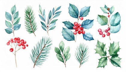 Watercolor Christmas Botanical Elements Collection.
