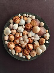 Seashells on a copper plate, decoration idea