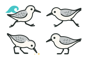 Different poses of sandpiper birds by the shore during a sunny day