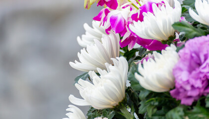 仏花の花束（白菊、ピンクの蘭）