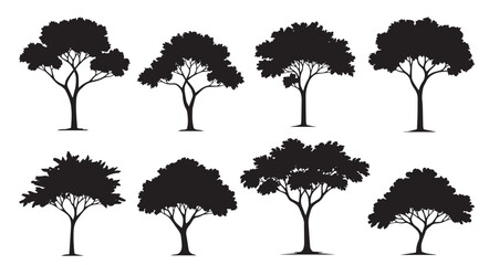 Broad spreading tree silhouette set. African acacia, oak, and park nature vector collection. Architecture and landscape design symbols.